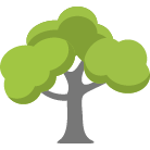 Grand Junction Tree Trimming