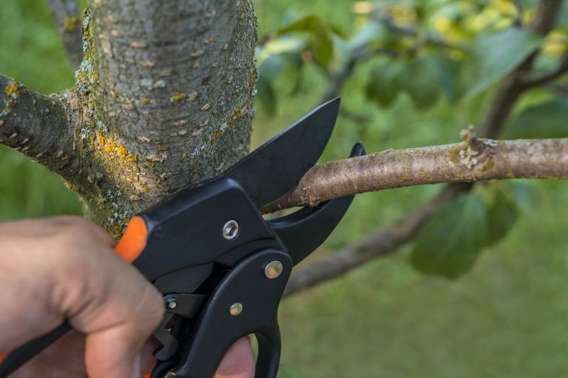 Tools for Tree Trimming