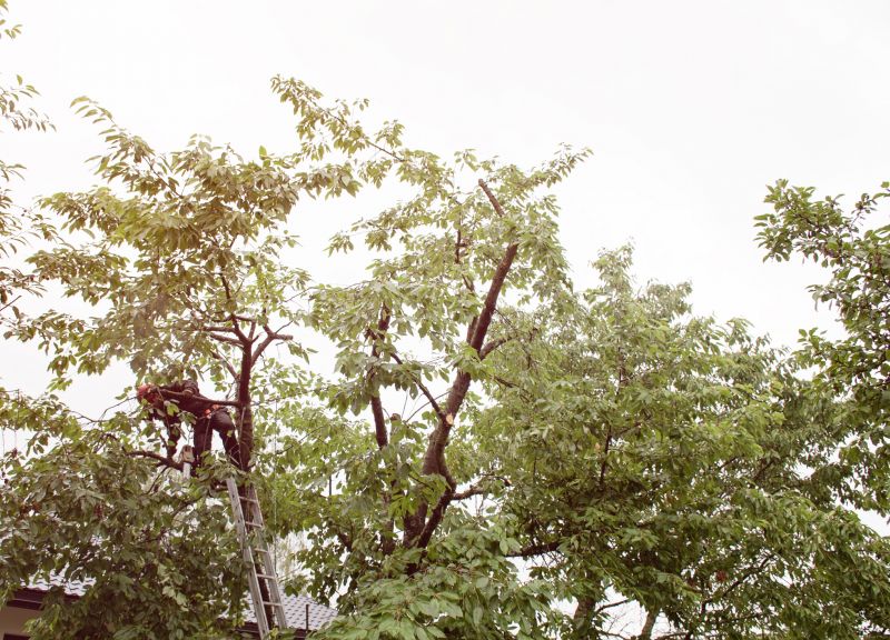 Space-Smart Ideas — Advanced