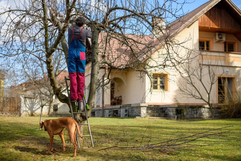 Tree Trimming in Winter